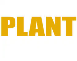 Building Plant News Logo